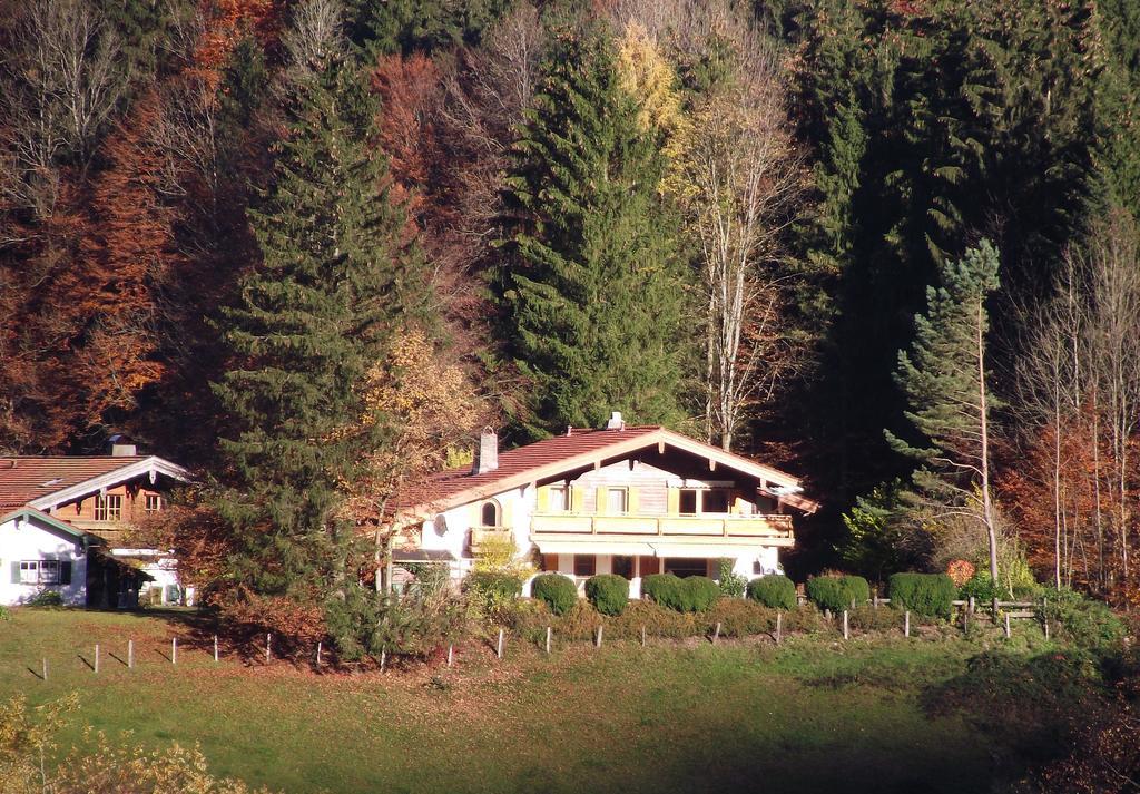 Ferienwohnung Am Roemerweg Wald Инцел Екстериор снимка