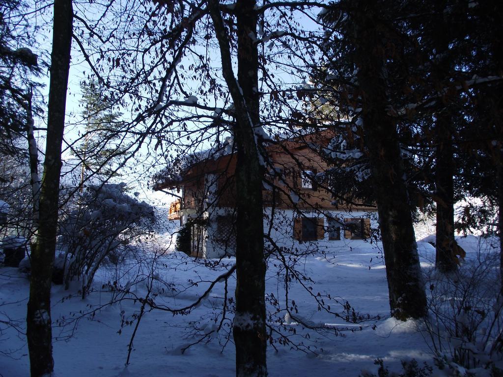 Ferienwohnung Am Roemerweg Wald Инцел Екстериор снимка