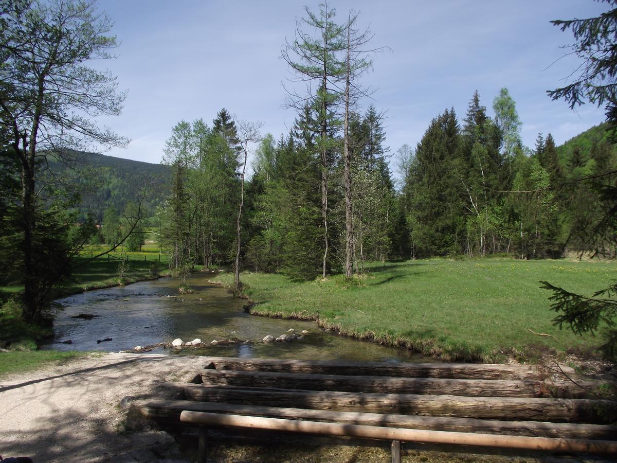 Ferienwohnung Am Roemerweg Wald Инцел Екстериор снимка